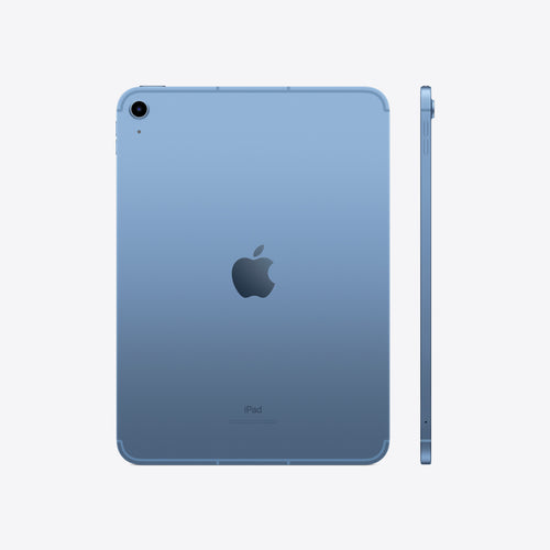 Representative rear view of Apple iPad (A16) Wi-Fi + Cellular in Blue. Not a photo of the specific pre-owned device.